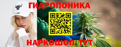 apvp Мариинск