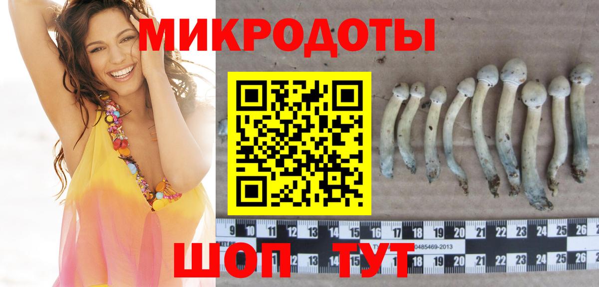 Псилоцибиновые грибы мицелий  Вход с VPN  Ульяновск 